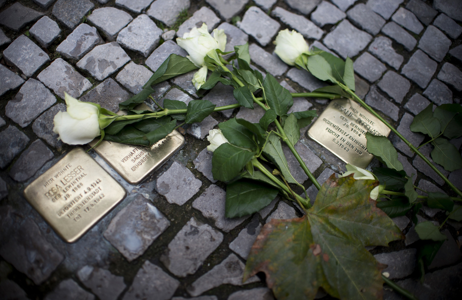 The memory of Kristallnacht should alert us to the perils of indifference Roses lay on a Berlin "stolperstein" on the 75th anniversary of Kristallnacht. Johannes Eisele/AFP/Getty Images