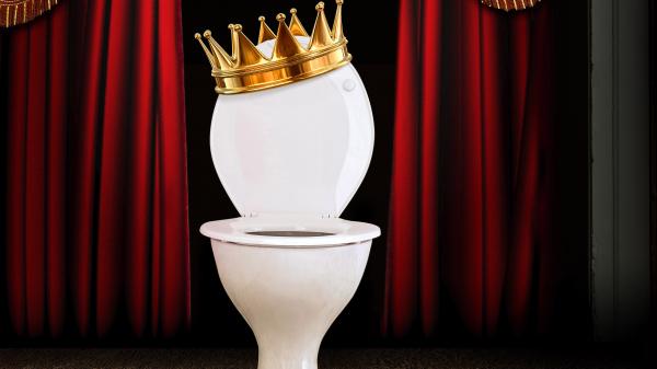The Golden Thrones: the best and worst loos in theatreland