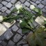 The memory of Kristallnacht should alert us to the perils of indifference
